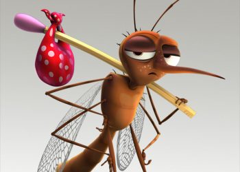 Fiocruz descobre que muriçoca pode transmitir zika