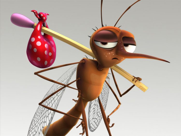 Fiocruz descobre que muriçoca pode transmitir zika