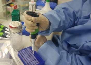 Cientistas descobrem substância que barra zika vírus