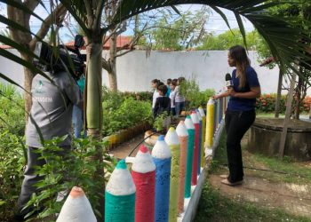 Escola de Maracanaú é destaque por práticas ambientais