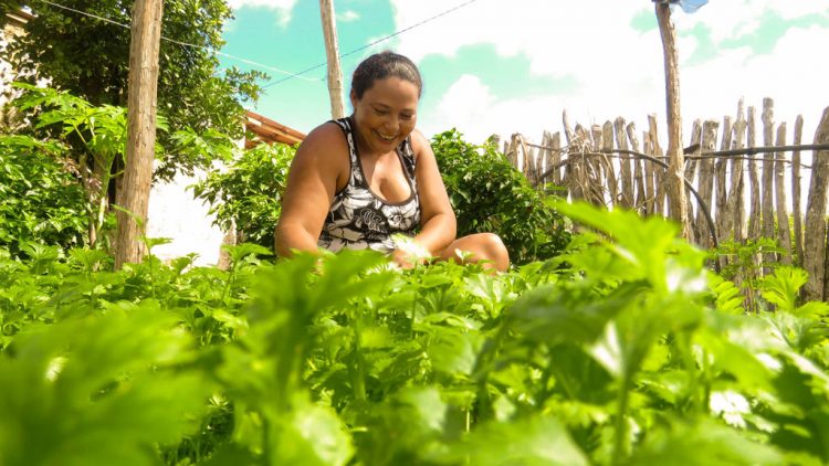 Cooperativismo e empreendedorismo são motores para fortalecimento da agricultura familiar no Sertão Central