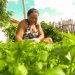 Cooperativismo e empreendedorismo são motores para fortalecimento da agricultura familiar no Sertão Central