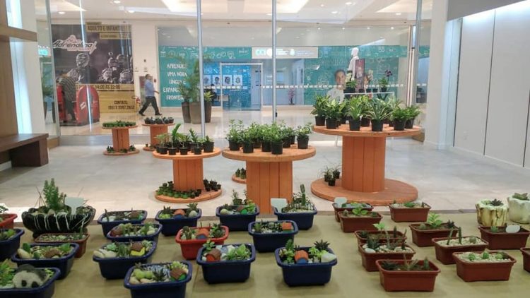 North Shopping Jóquei recebe exposição organizada pelo Orquidário da UFC