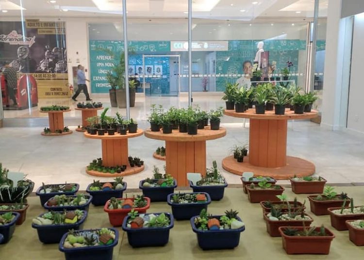 North Shopping Jóquei recebe exposição organizada pelo Orquidário da UFC