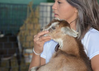Contagem regressiva para a 64ª edição da EXPOECE