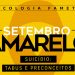 Fametro e PRAVIDA promovem palestra no Setembro Amarelo