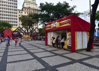 Ceará Natal de Luz chegará a marca de 1,4 milhão de mudas distribuídas