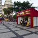 Ceará Natal de Luz chegará a marca de 1,4 milhão de mudas distribuídas