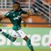 Sicredi aposta no futebol nacional com patrocínio à Copa do Brasil