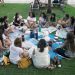 Evento gratuito discute Endometriose e Maternidade