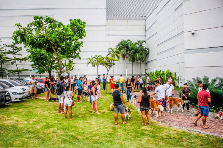 Shopping de Fortaleza organiza dia dedicado a pets neste sábado (15)