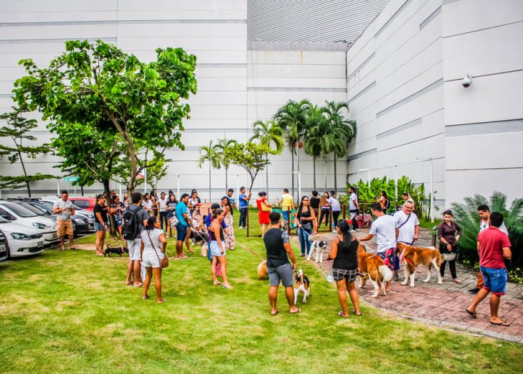 Shopping de Fortaleza organiza dia dedicado a pets neste sábado (15)