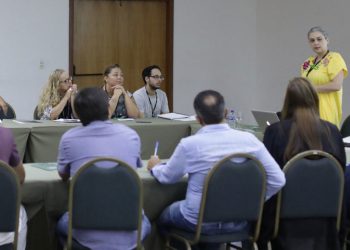 Cine Ceará abre inscrições para curso avançado em Planejamento de Produção para séries de animação 2D