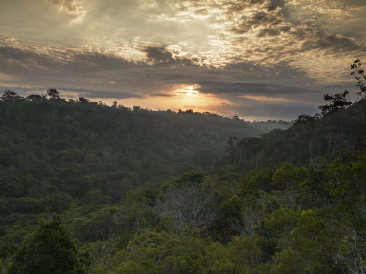4 destinos do Nordeste brasileiro para curtir a natureza com crianças