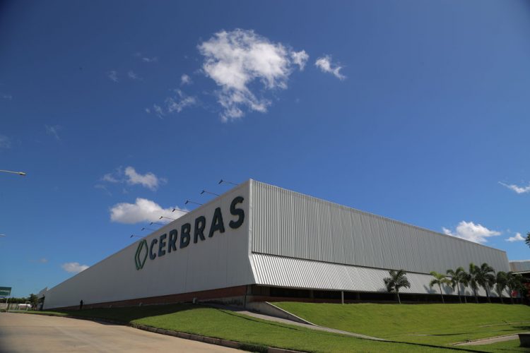 Cerbras assina passarela de desfile da brand Água de Coco em São Paulo