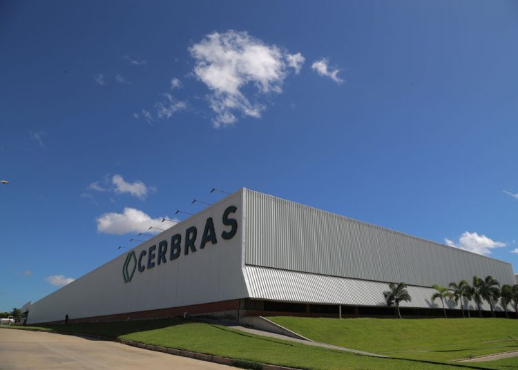 Cerbras assina passarela de desfile da brand Água de Coco em São Paulo