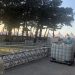 1º Leilão Haras WS inicia montagem da estrutura
