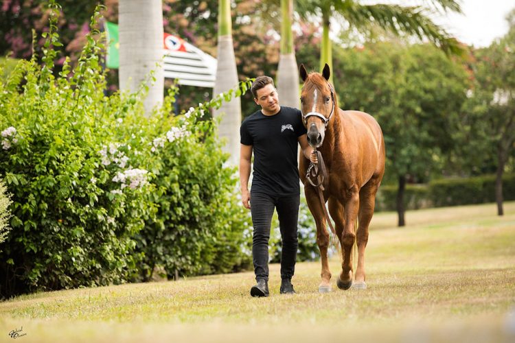 1º Leilão Haras WS terá 39 lotes de animais e pacotes coberturas do garanhão Don Príncipe Bar, cavalo de Wesley Safadão