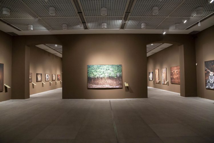 Em cartaz na Caixa Cultural Fortaleza, Exposição Mariana promove a inclusão de pessoas com deficiência