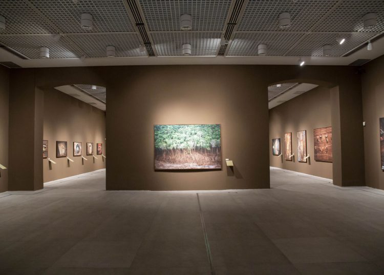 Em cartaz na Caixa Cultural Fortaleza, Exposição Mariana promove a inclusão de pessoas com deficiência