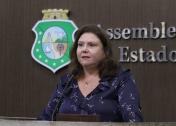 Projeto da Deputada Fernanda Pessoa Cria a rede estadual de apoio e auxílio para crianças e adolescentes vítimas de violência familiar