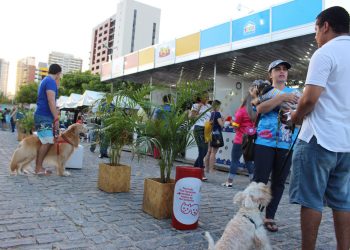 Vila Pet chega ao Iguatemi com serviços e atrações para animais de estimação