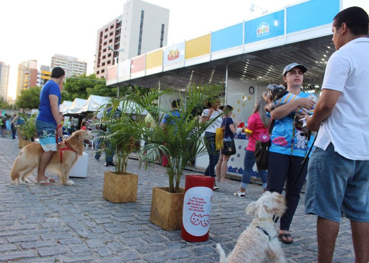 Vila Pet chega ao Iguatemi com serviços e atrações para animais de estimação