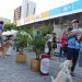 Vila Pet chega ao Iguatemi com serviços e atrações para animais de estimação