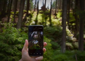 7 perfis para seguir e inspirar sobre conservação da natureza