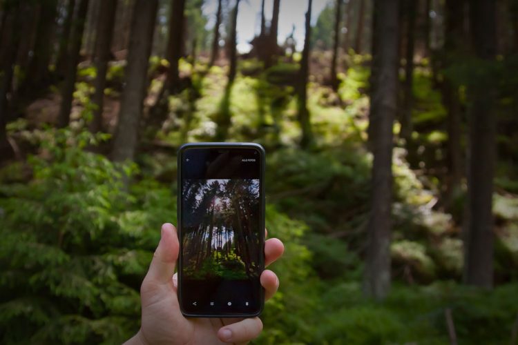 7 perfis para seguir e inspirar sobre conservação da natureza