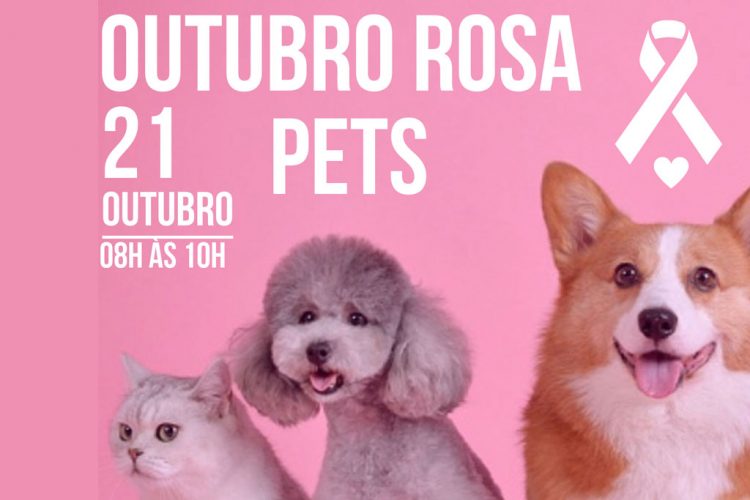Outubro rosa pet é tema de evento gratuito em Fortaleza
