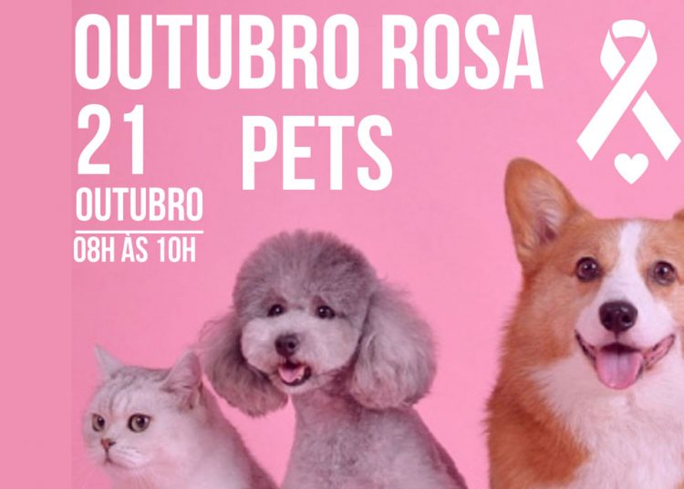 Outubro rosa pet é tema de evento gratuito em Fortaleza
