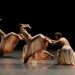 São Paulo Companhia de Dança volta a Fortaleza
