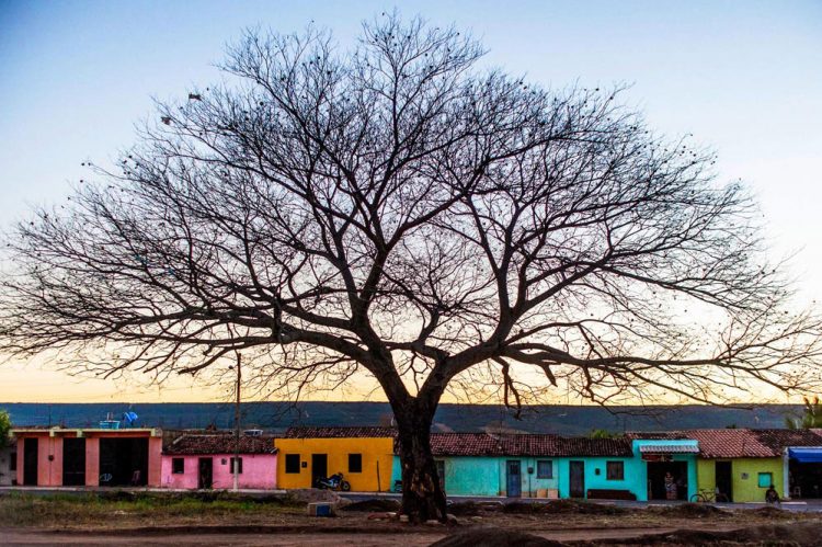Serra, sertão e litoral, Wee Travel lança o ‘Wee Receptivo’ no Ceará