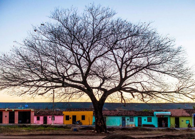 Serra, sertão e litoral, Wee Travel lança o ‘Wee Receptivo’ no Ceará