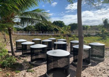 Colosso deixará de descartar cerca de 1 tonelada de resíduos orgânicos por mês com parque próprio de compostagem