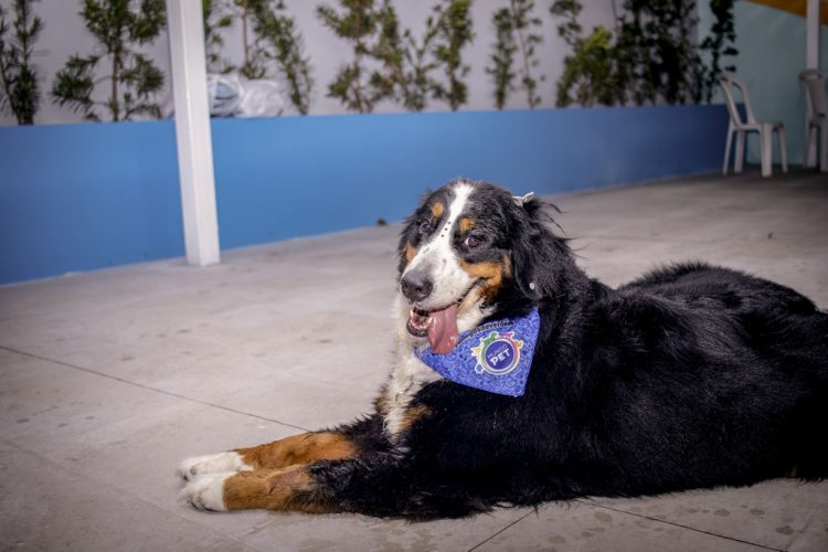 Mundo Pet promove palestra sobre alimentação natural para pets neste sábado (14)