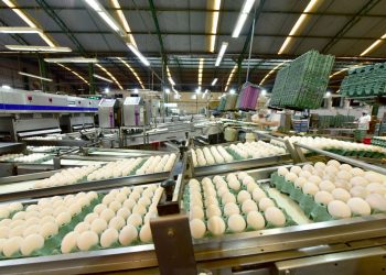Avine lança campanha educativa sobre qualidade e como escolher os melhores produtos