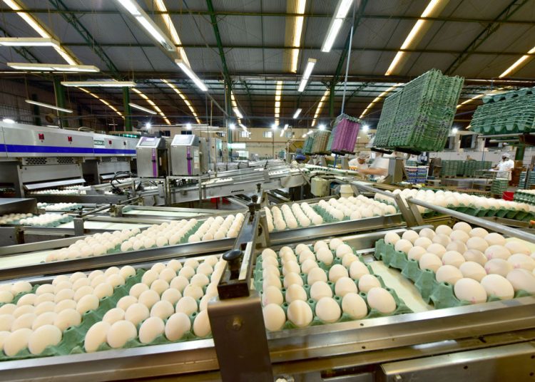 Avine lança campanha educativa sobre qualidade e como escolher os melhores produtos