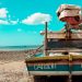 Dicas para sofrer menos com as altas temperaturas do verão cearense
