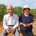 Casal de japoneses de 86 anos de idade realiza sonho e produz figos no Ceará