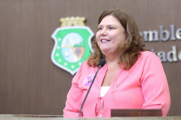 PL da Deputada Fernanda Pessoa Institui o Selo Rosa no Ceará
