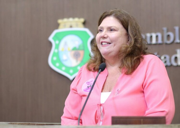 PL da Deputada Fernanda Pessoa Institui o Selo Rosa no Ceará