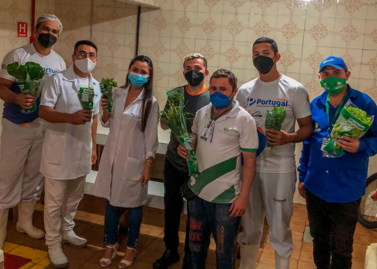 Campo Ouro Verde realiza treinamento sobre importância das folhagens no Super Portugal