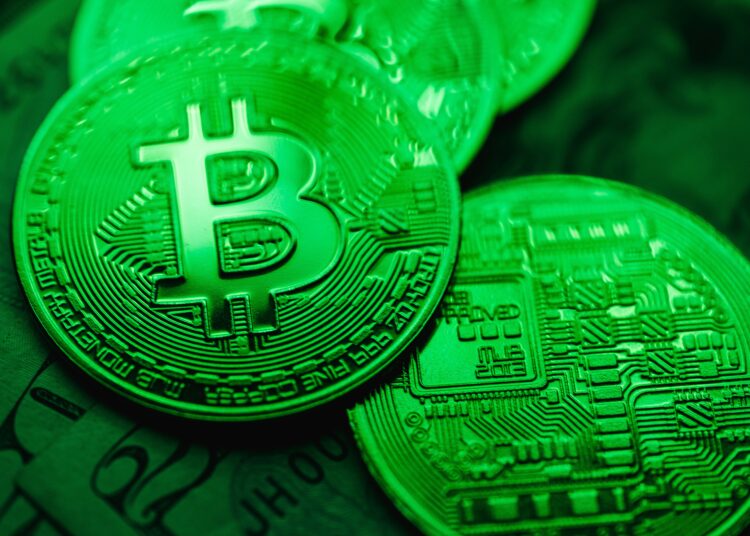 Criptomoedas: tudo o que você precisa saber