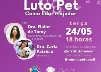 Instituto Revoar e Mundo Pet promovem live para entender o processo do luto pet