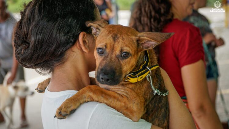 Secretaria de Bem-Estar Animal de Maracanaú realiza mais uma edição do “Pet Day”