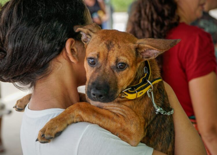 Secretaria de Bem-Estar Animal de Maracanaú realiza mais uma edição do “Pet Day”