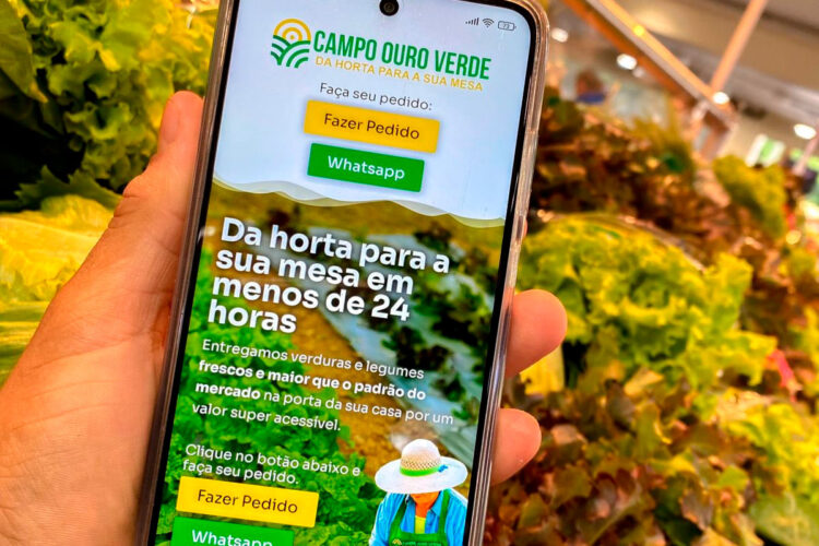 Campo Ouro Verde lança delivery que entrega legumes e verduras em até 24 horas