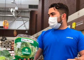 Campo Ouro Verde registra alta procura por coentro, cebolinha e alface crespa nos mercados de Fortaleza